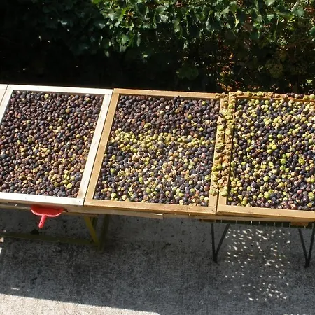 In With Terrace, Air Conditioning,wifi 4449-1