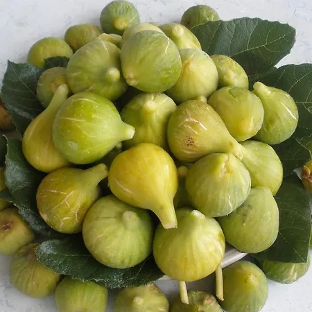 In With Terrace, Air Conditioning,wifi 4449-1 보디체