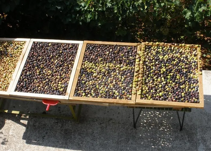 In With Terrace, Air Conditioning,wifi 4449-1