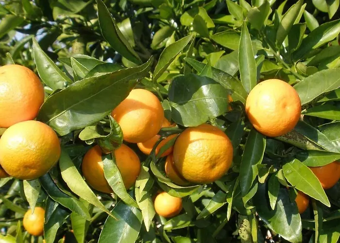 In With Terrace, Air Conditioning,wifi 4449-1