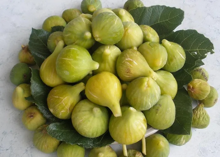 In With Terrace, Air Conditioning,wifi 4449-1 Vodice